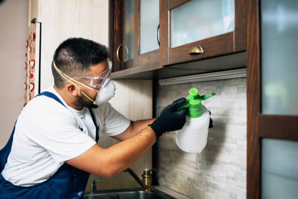 Best Best Pest Control Companies  in Wendover, UT
