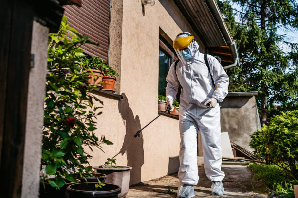 Best Ant Control Services  in Wendover, UT