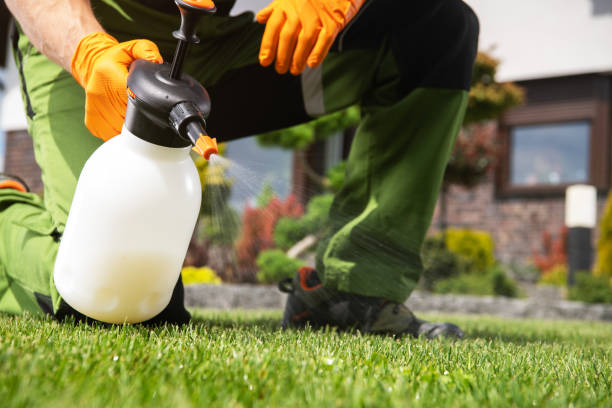 Pest Control Cost in Wendover, UT