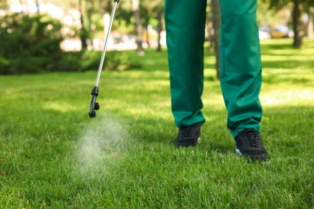 Best Flea Control Services  in Wendover, UT