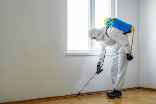 Best Termite Control Services  in Wendover, UT