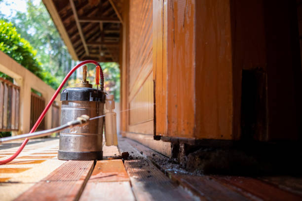Best Insect Control  in Wendover, UT
