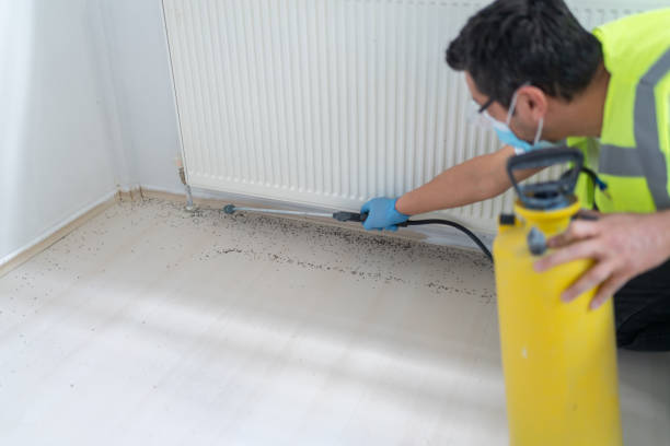 Best Local Pest Control Services  in Wendover, UT
