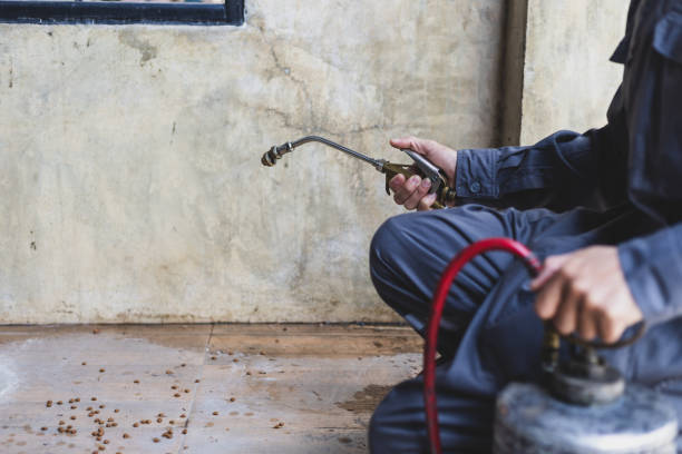 Best Pest Inspection Near Me  in Wendover, UT